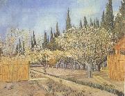 Vincent Van Gogh Orchard in Blossom,Bordered by Cypresses (nn04) oil painting on canvas